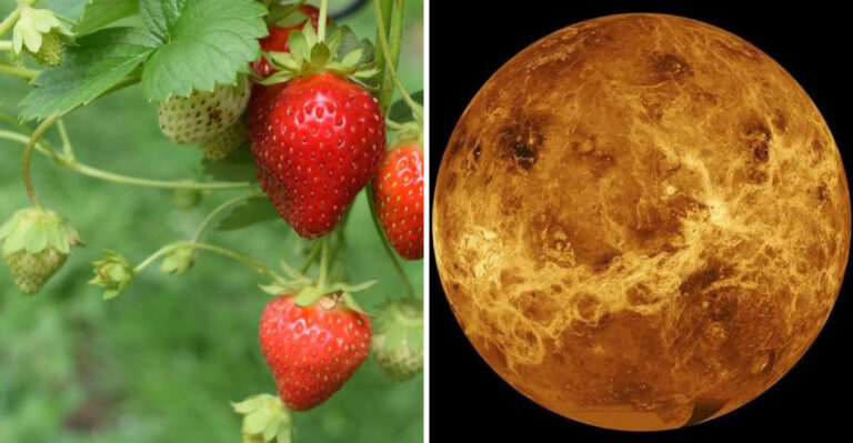 17 Totally Random Fun Facts That Are Worth Knowing