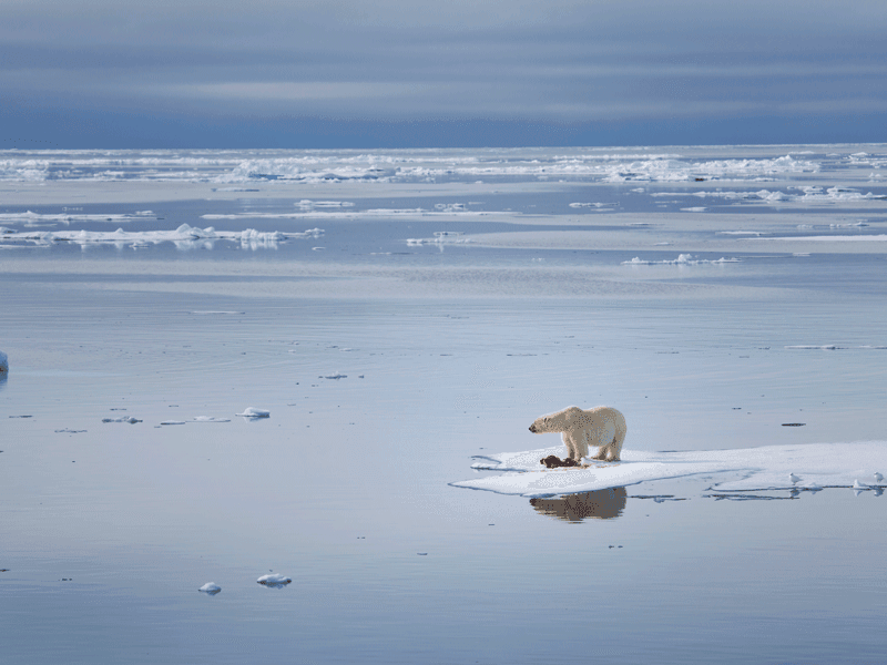 2015: UN Releases Landmark Climate Change Report