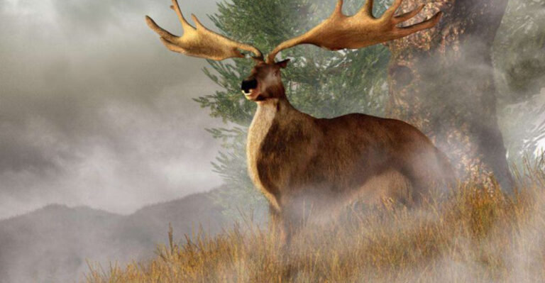 Back From the Dead? 15 Extinct Animals Science Is Trying to Resurrect