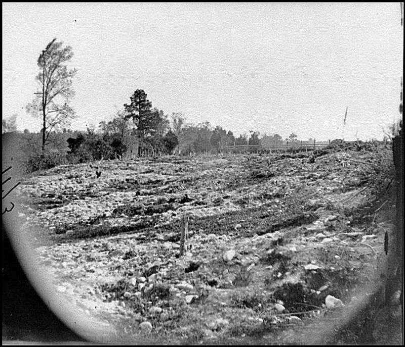 Battle of Cold Harbor