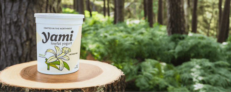 Yami Yogurt