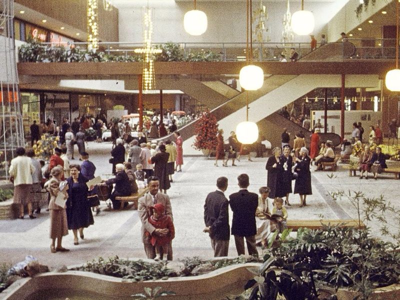 Suburban Shopping Transforms Consumer Culture