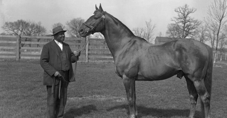 Hooves of Glory: Legendary Horses That Shaped American History