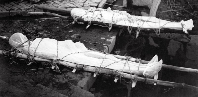 India bore the heaviest national toll, with an estimated 12 million deaths—the highest for any country