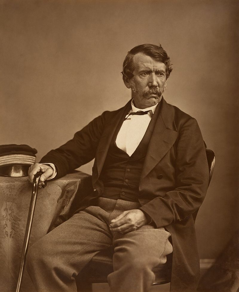 David Livingstone, Scottish missionary and explorer, 1873
