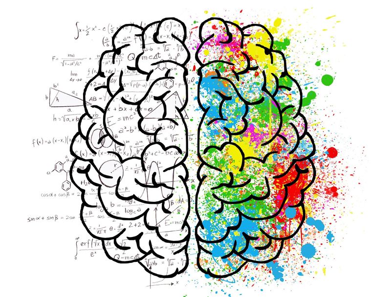 The Left Brain vs. Right Brain Myth
