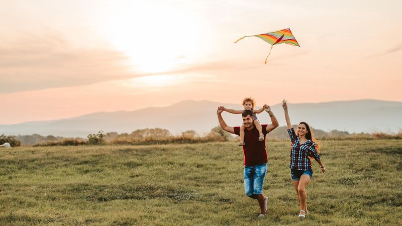 No Flying Kites