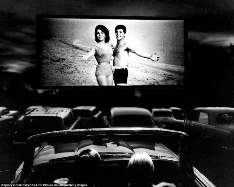 15 Reasons Why Drive-In Movie Theaters Were Magical in the 1950s & '60s ...