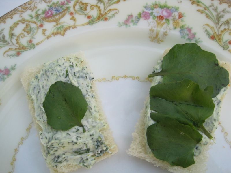 Watercress and Cream Cheese Fingers