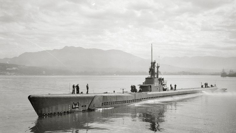 No One Knew What They Sank