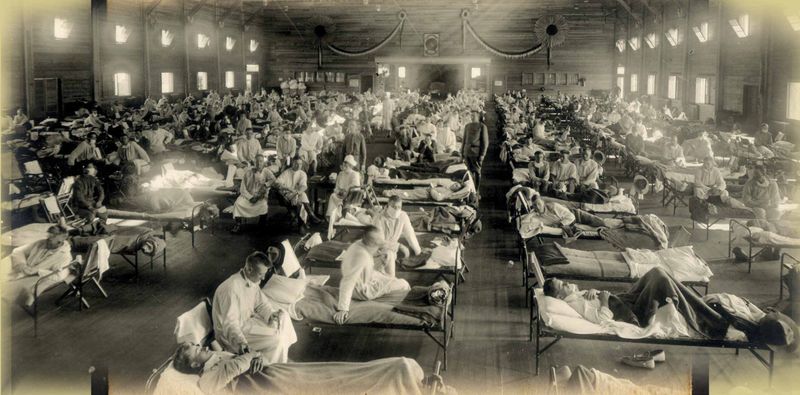 Infected roughly 500 million people worldwide—about one-third of the global population at the time—making it the most widespread flu pandemic in history