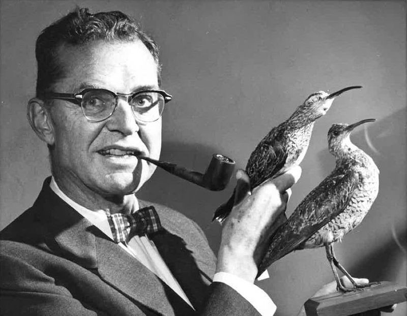 James Bond: Birdwatcher Lent Name To World's Greatest Spy