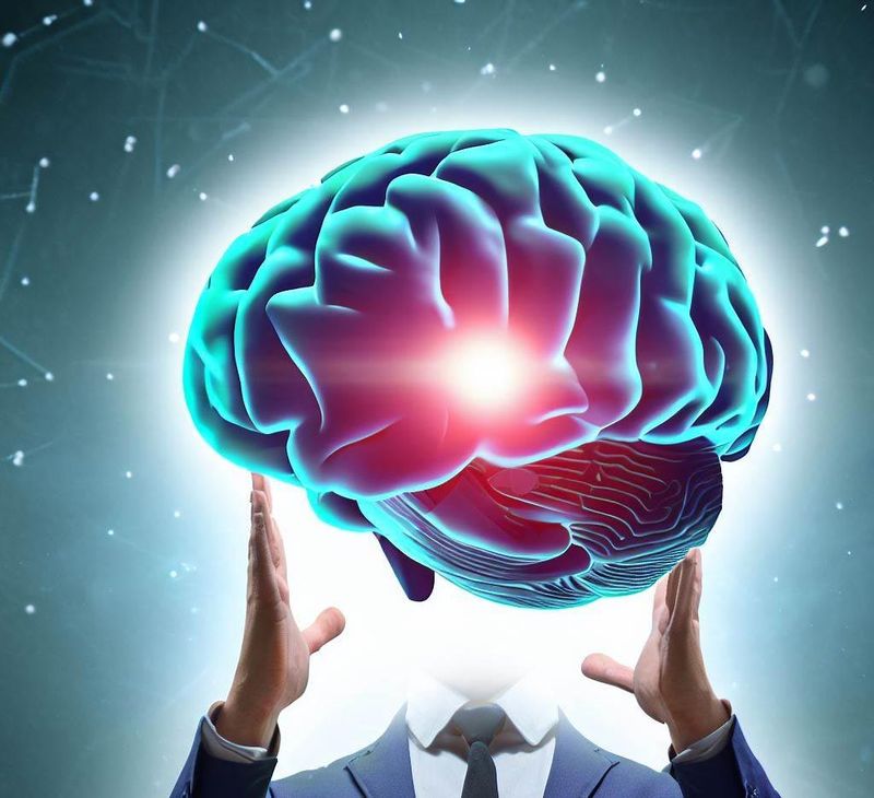 We Only Use 10% of Our Brains
