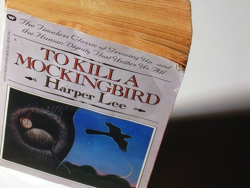 To Kill a Mockingbird by Harper Lee