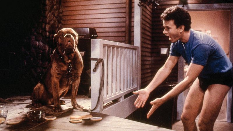 Turner & Hooch (1989)
