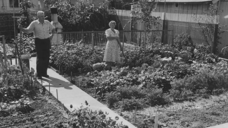Victory Gardens Produced 40% of America’s Vegetables