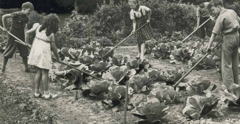 14 Fascinating Facts About WWII Victory Gardens—And How You Can Grow One Today