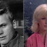 15 Actors from the ’60s Who Were in Everything—and Then Vanished