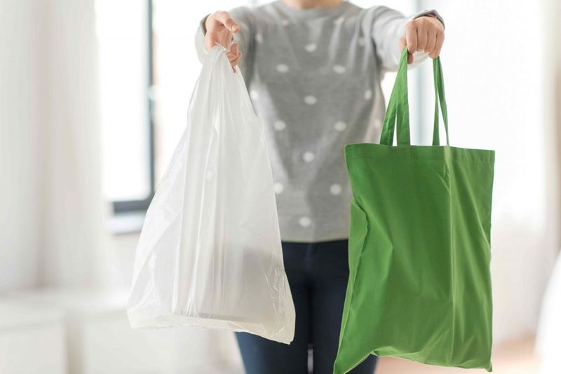 Plastic Grocery Bags
