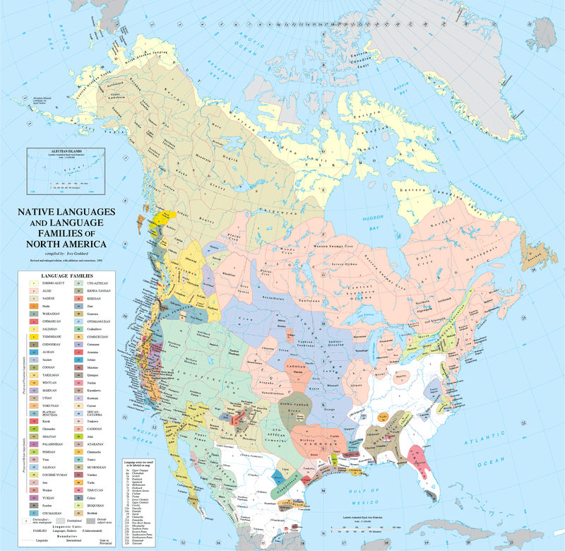 Rich Linguistic Tapestry