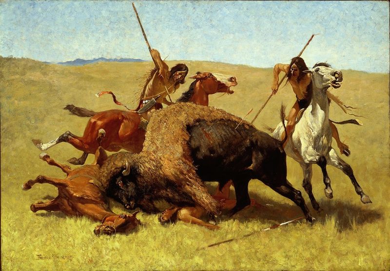 Buffalo Hunting Revolution