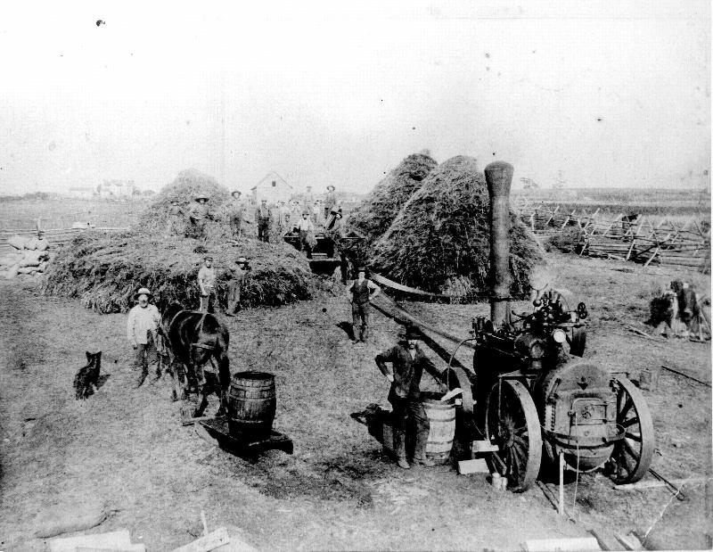 1859 Pig War