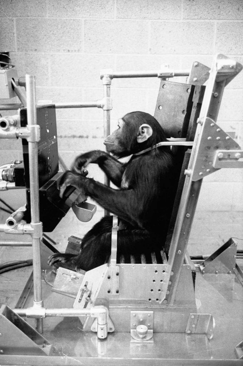 3. He Was Trained Like an Astronaut