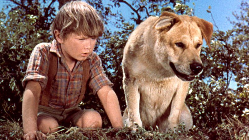 Old Yeller (1957)