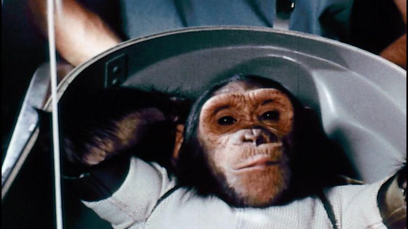 7. He Proved Astronauts Could Survive—and Work—in Space