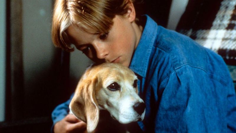 Shiloh (1996)