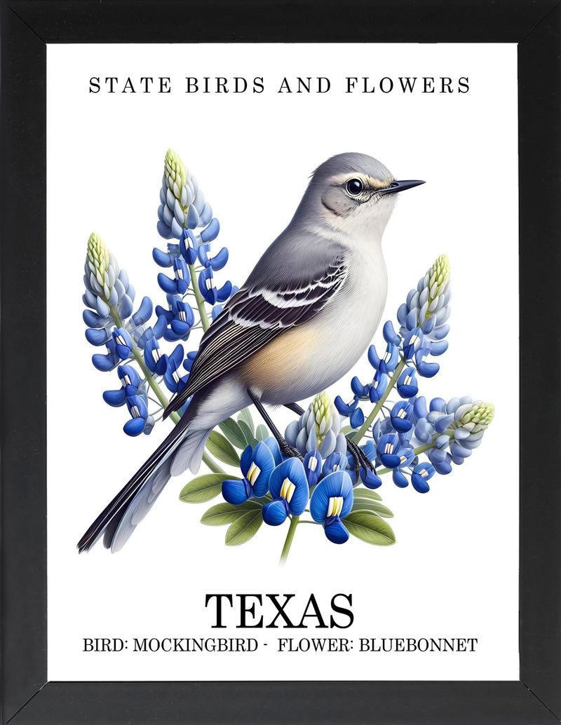 The State Bird Isn't Native to Texas