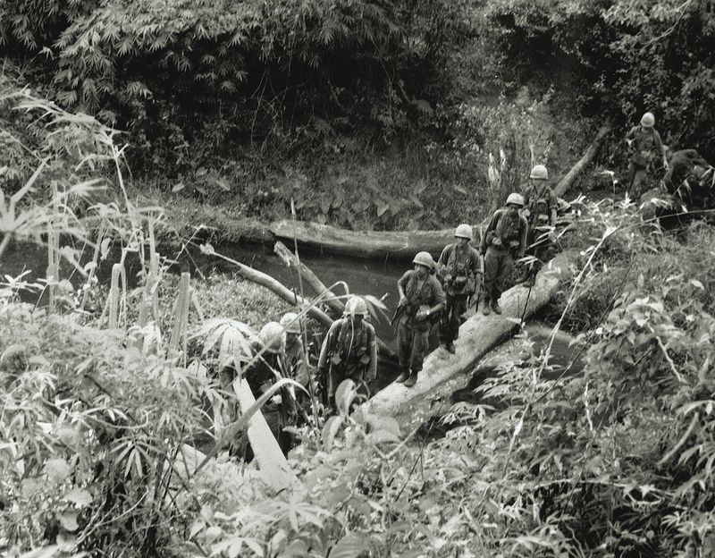 Ambushes in the Jungle