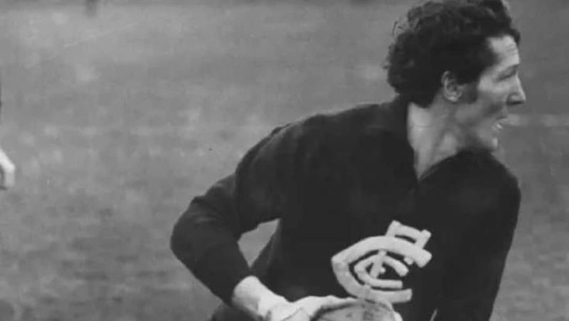 John Goold, Australian footballer, 2024