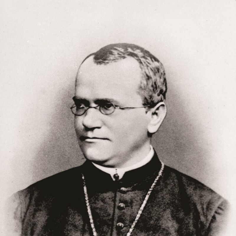 Gregor Mendel: The Monk Who Discovered Genes