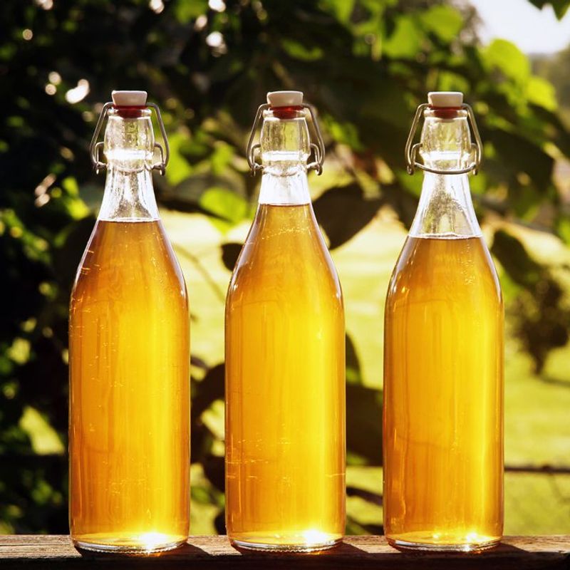 Mead (9,000+ years old)