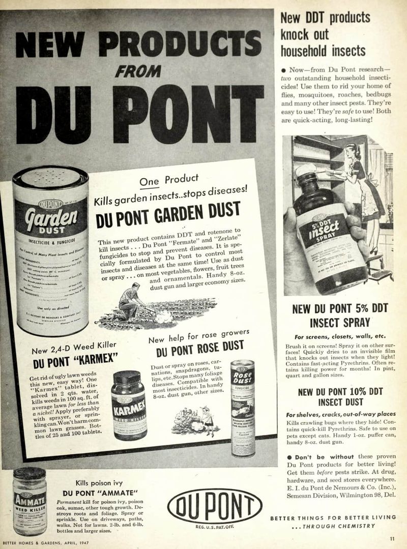 DDT Pesticide