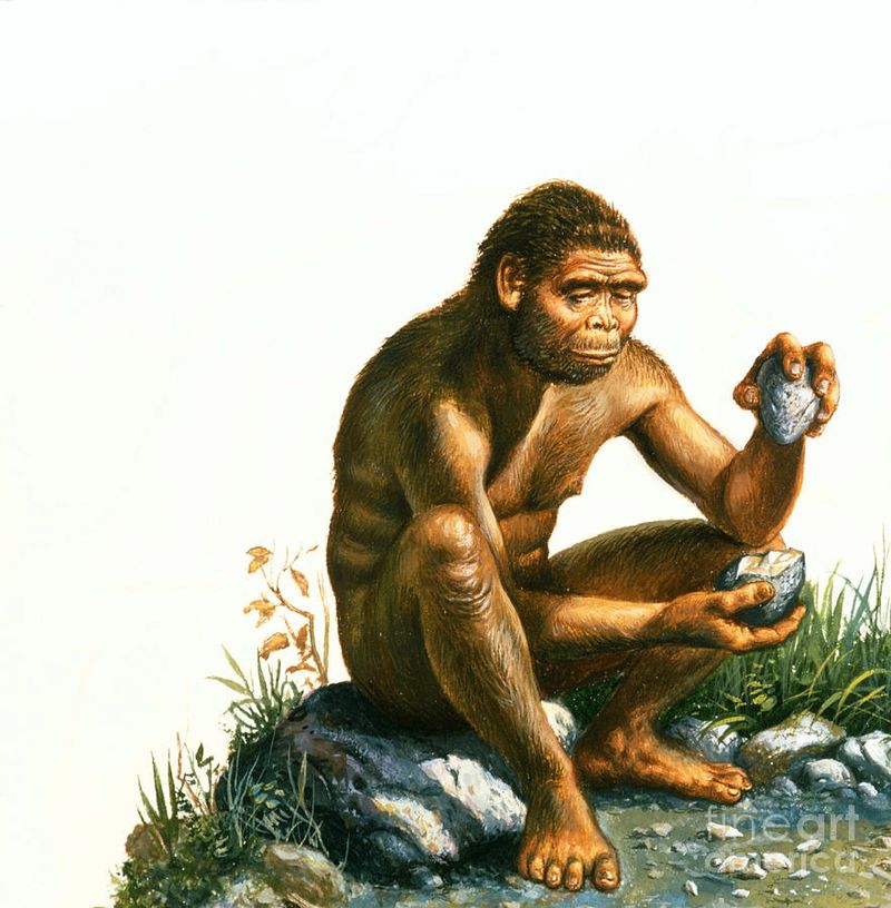 The Genus Homo Appeared 2.5 Million Years Ago