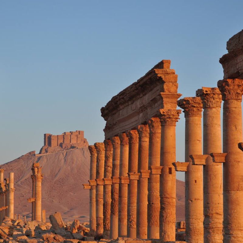 Palmyra (Syria)