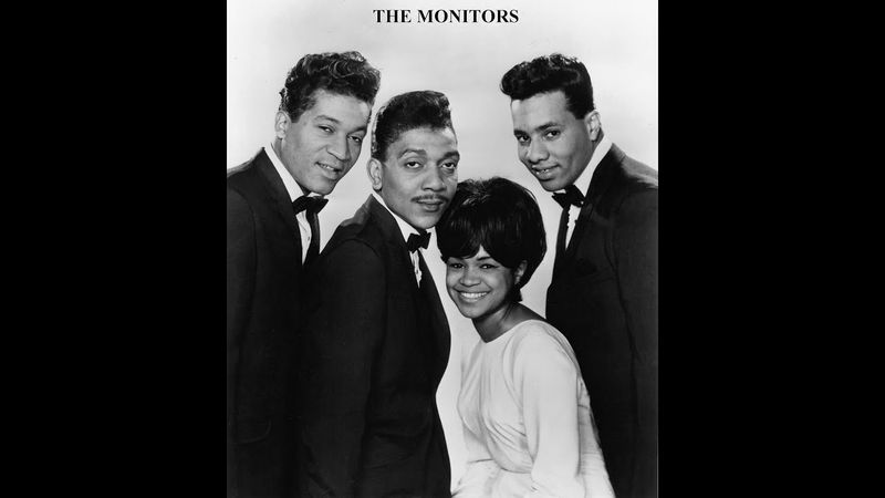The Monitors