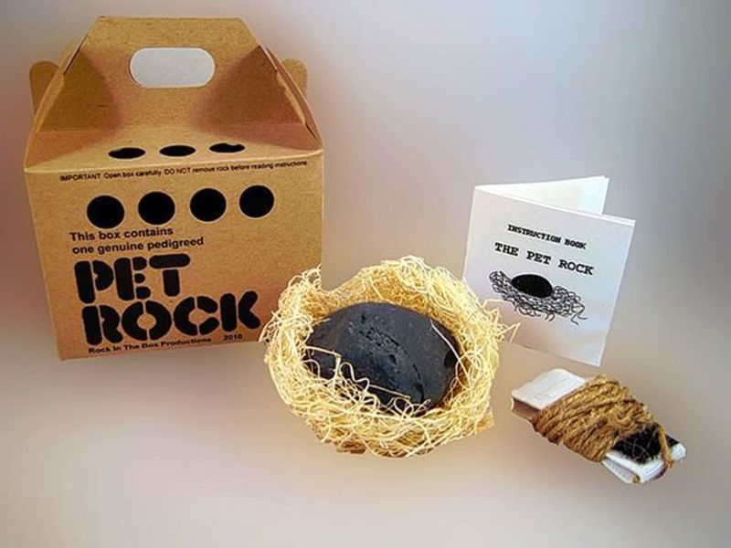 Pet Rock Fad