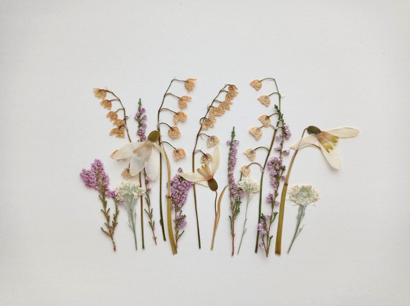Pressing Flowers