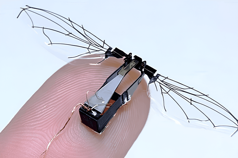 RoboBees (2013)