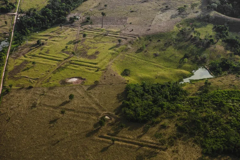 The Amazon's 