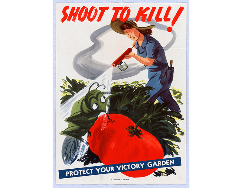 Wartime Posters Provided Instructions