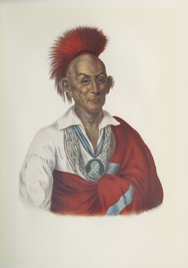 Black Hawk's Desperate Return