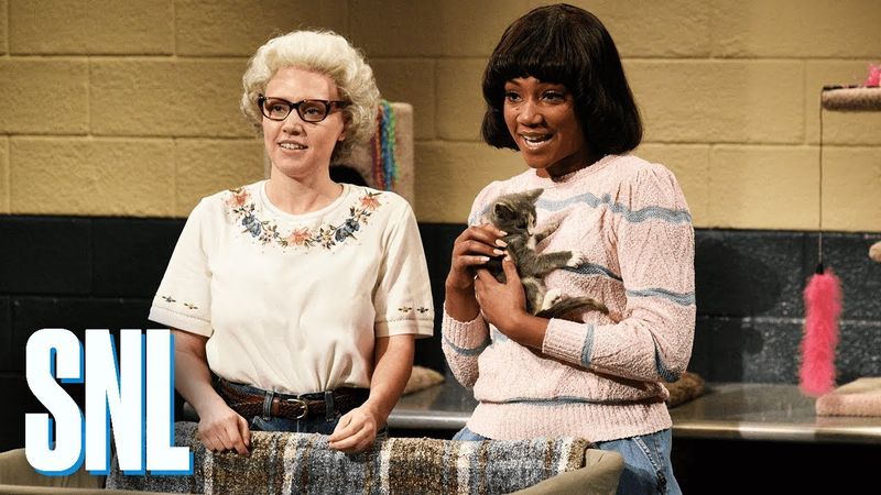 Whiskers R We with Tiffany Haddish