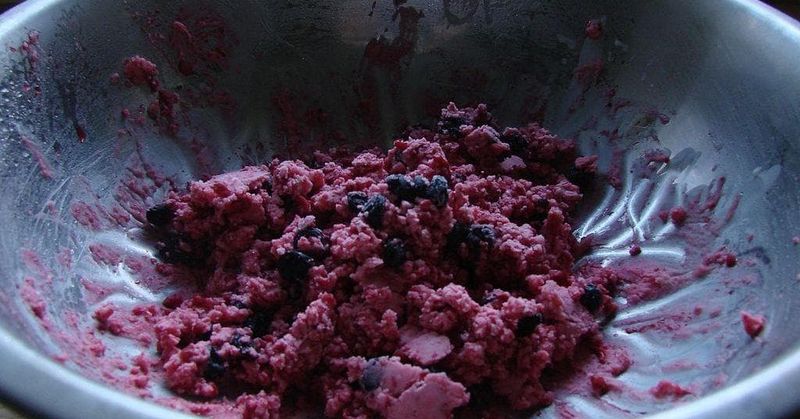 Fermented Foods