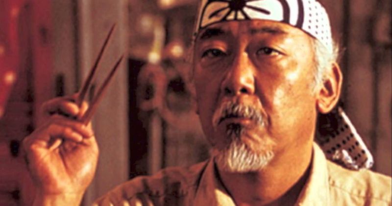 The Karate Kid Franchise Legacy