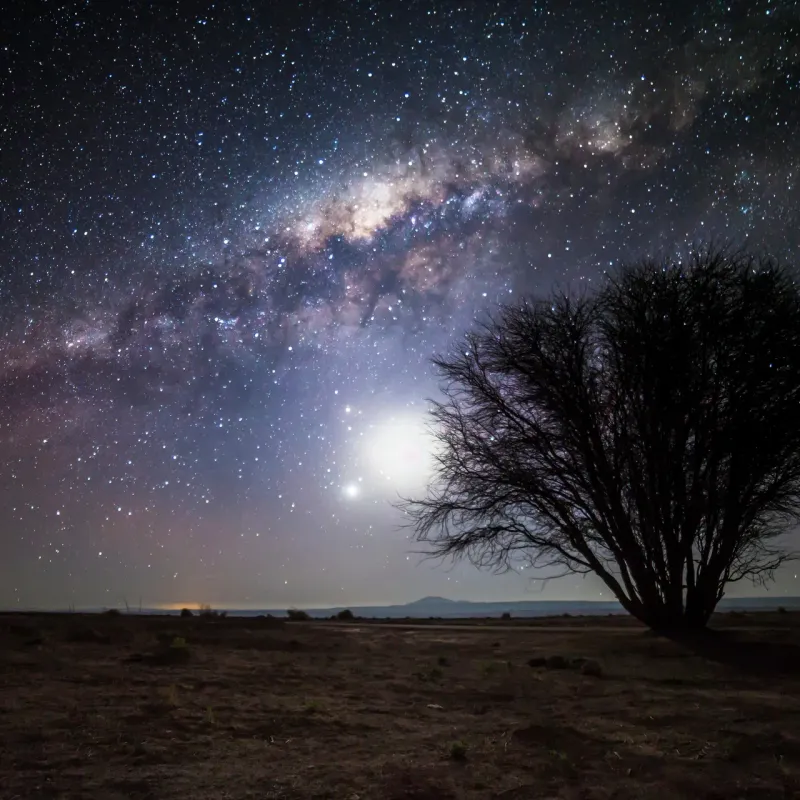 Sleeping Under the Stars