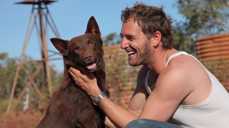 Red Dog (2011)
